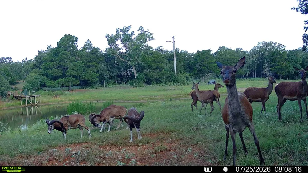 2524 Sandy Fork Road Harwood, TX 78632