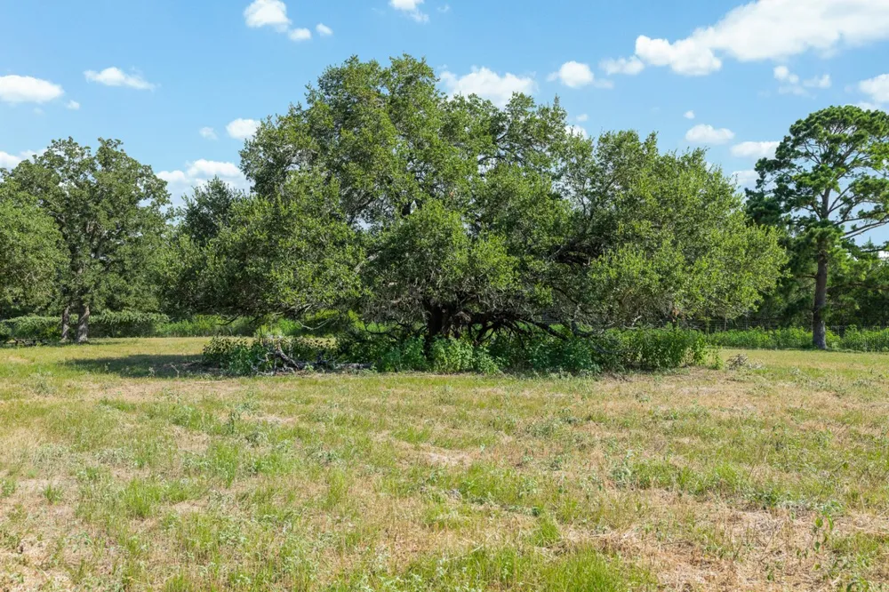 2524 Sandy Fork Road Harwood, TX 78632