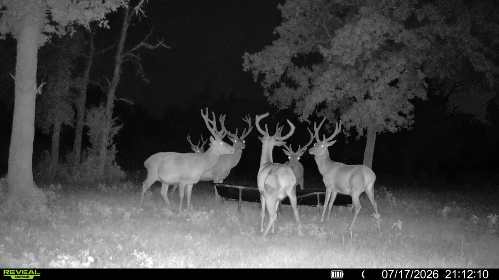 2524 Sandy Fork Road Harwood, TX 78632
