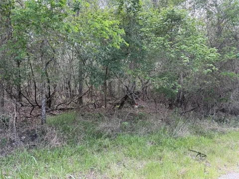 305 Nene Lane