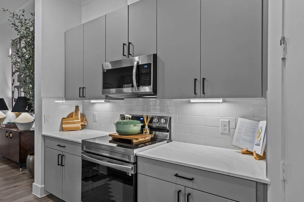 1664 Hillside Terrace #4417 Buda, TX 78610