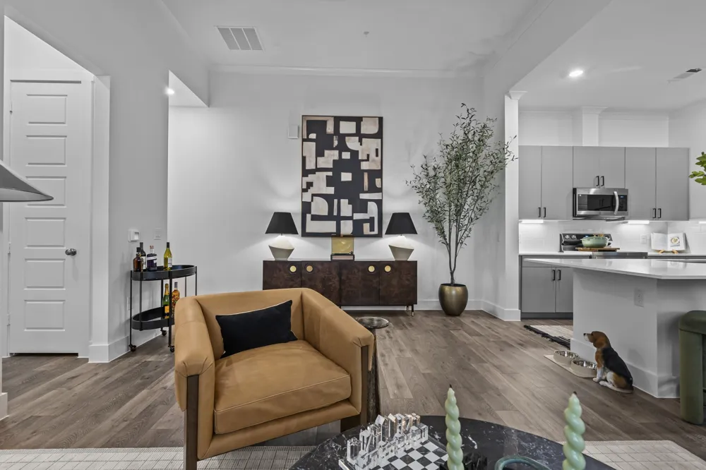 1664 Hillside Terrace #4417 Buda, TX 78610