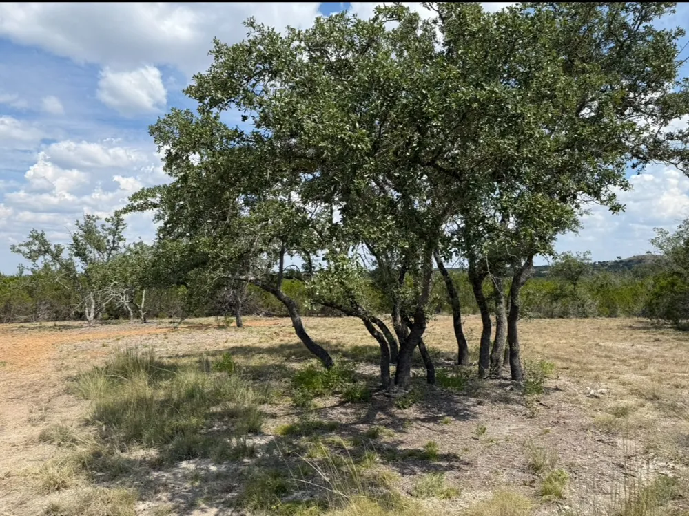 36 Round Mountain Reserve Drive Round Mountain, TX 78663
