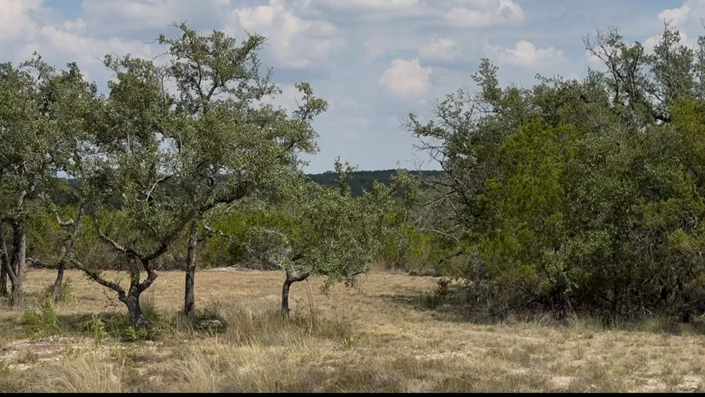 36 Round Mountain Reserve Drive Round Mountain, TX 78663