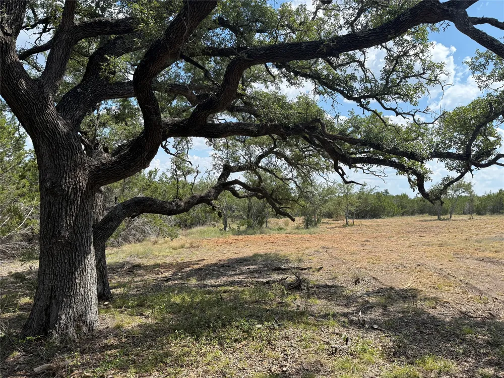 36 Round Mountain Reserve Drive Round Mountain, TX 78663