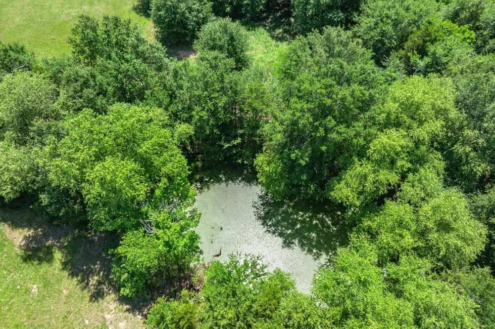 State Hwy 19 Emory, TX 75440
