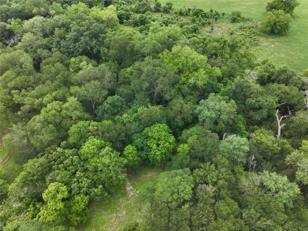 FM 86 Tract 1 Highway Luling, TX 78648