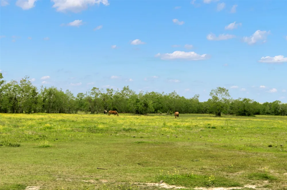 6483 Jade Avenue Port Arthur, TX 77640