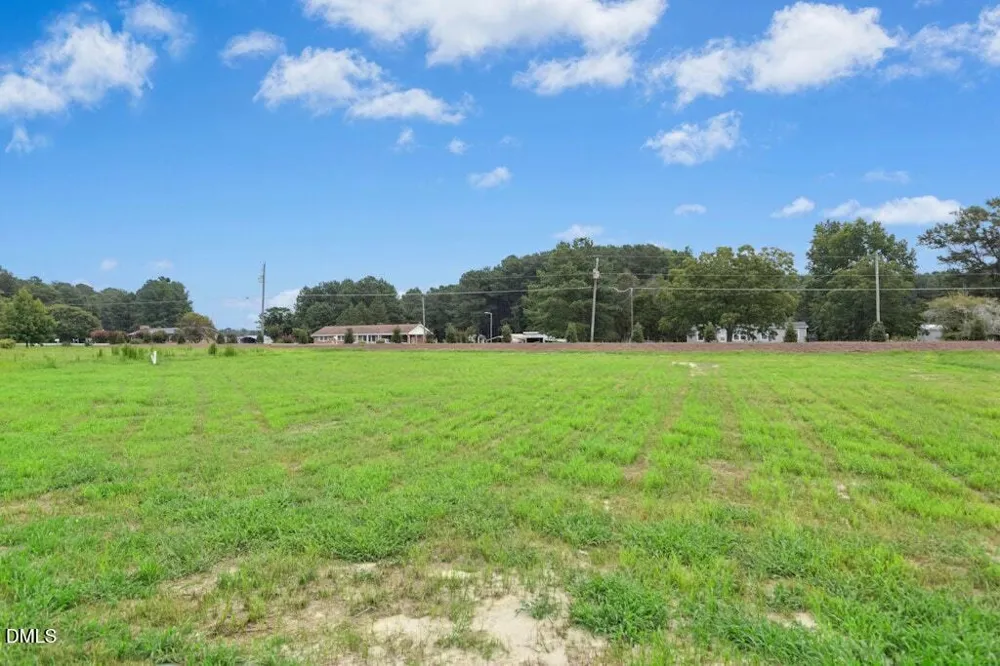 93 Huckleberry Bush Lane Princeton, NC 27569
