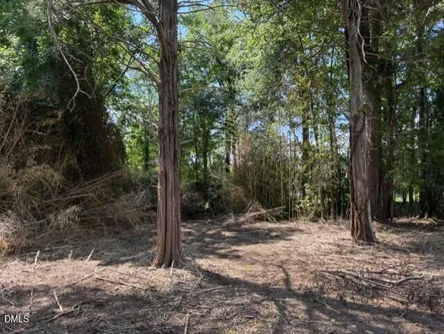 211 Colonial Avenue Goldston, NC 27252