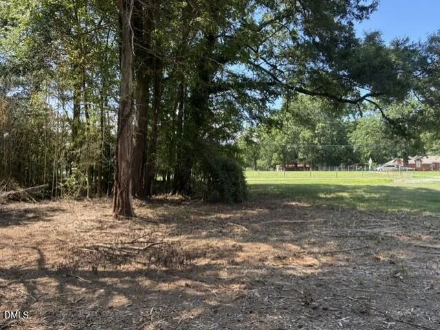211 Colonial Avenue Goldston, NC 27252