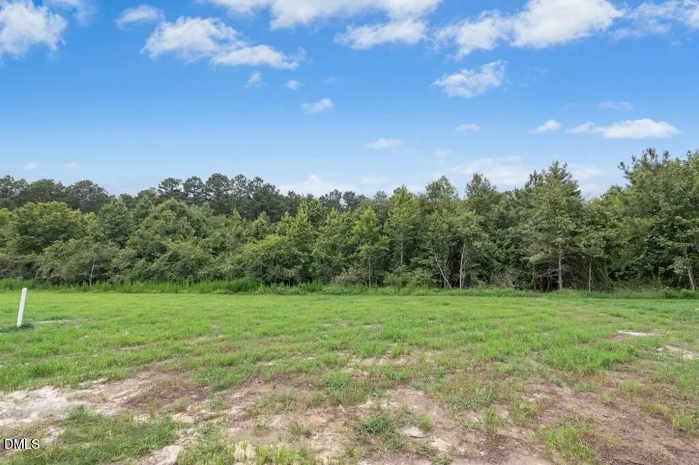 128 Hummingbird Grv Lane Princeton, NC 27569