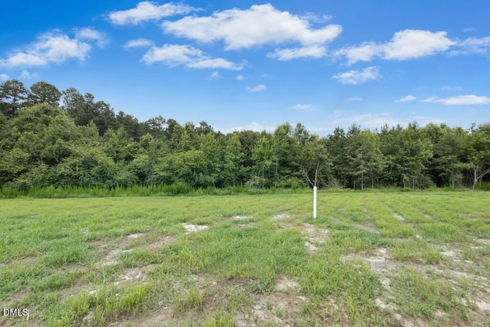 128 Hummingbird Grv Lane Princeton, NC 27569