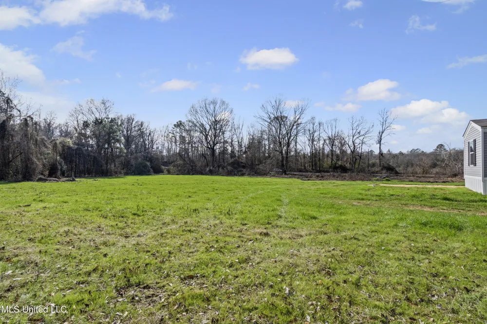 6920 Old Panola Road Sardis, MS 38666