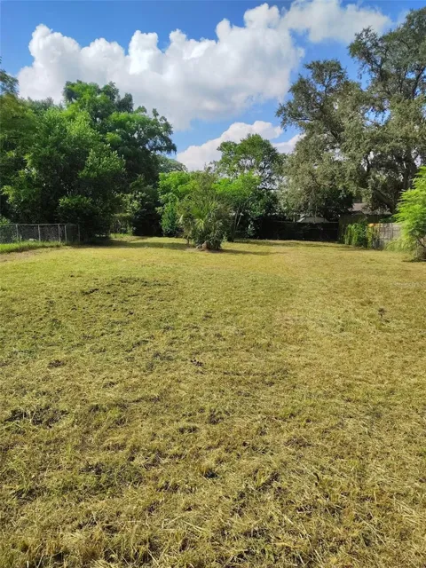 0 E LINEBAUGH AVENUE