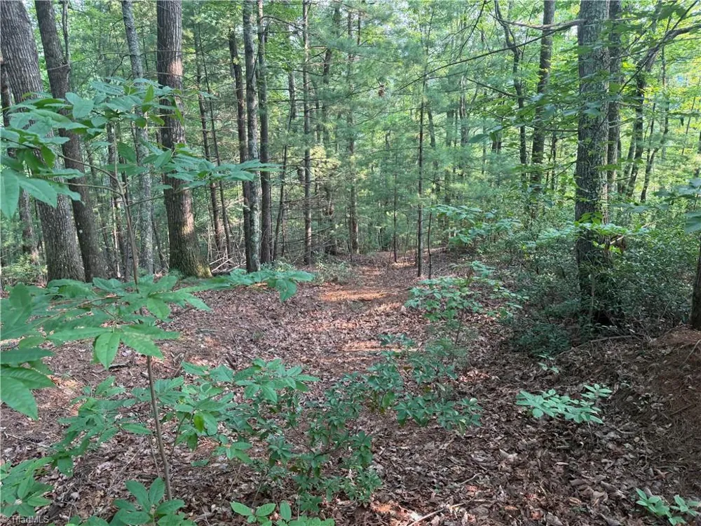 0000 Old NC Highway 16 Millers Creek, NC 28651