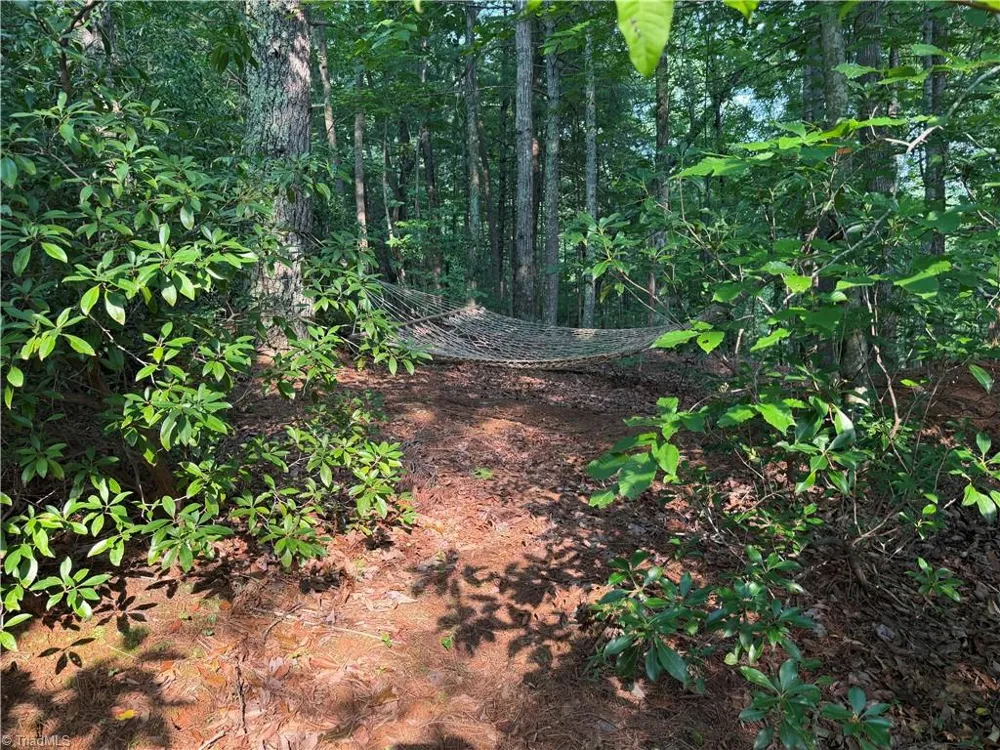 0000 Old NC Highway 16 Millers Creek, NC 28651