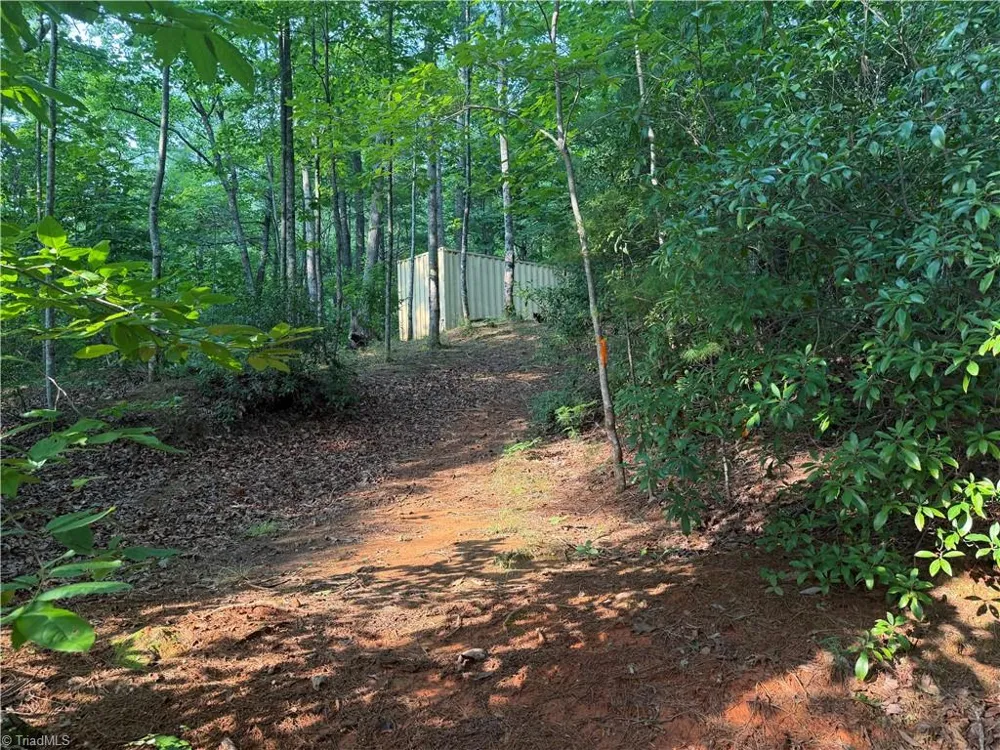 0000 Old NC Highway 16 Millers Creek, NC 28651