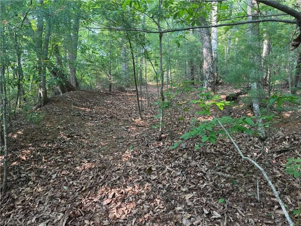0000 Old NC Highway 16 Millers Creek, NC 28651