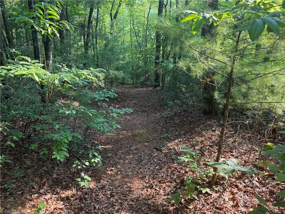 0000 Old NC Highway 16 Millers Creek, NC 28651
