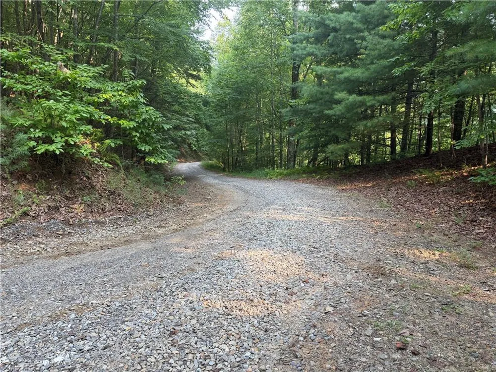 0000 Old NC Highway 16 Millers Creek, NC 28651