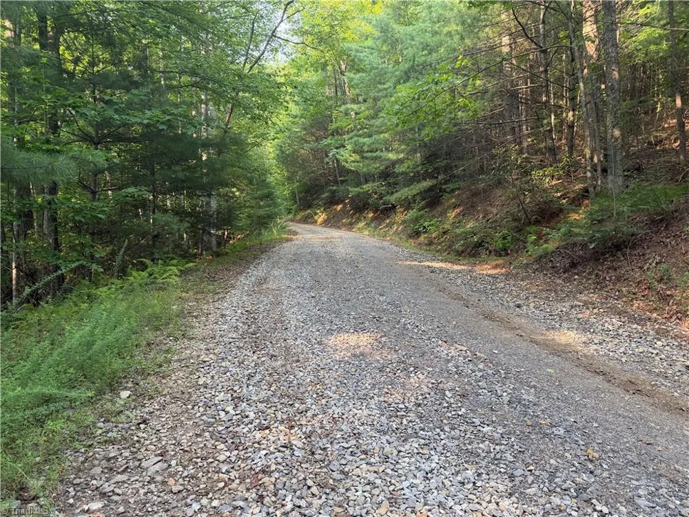 0000 Old NC Highway 16 Millers Creek, NC 28651