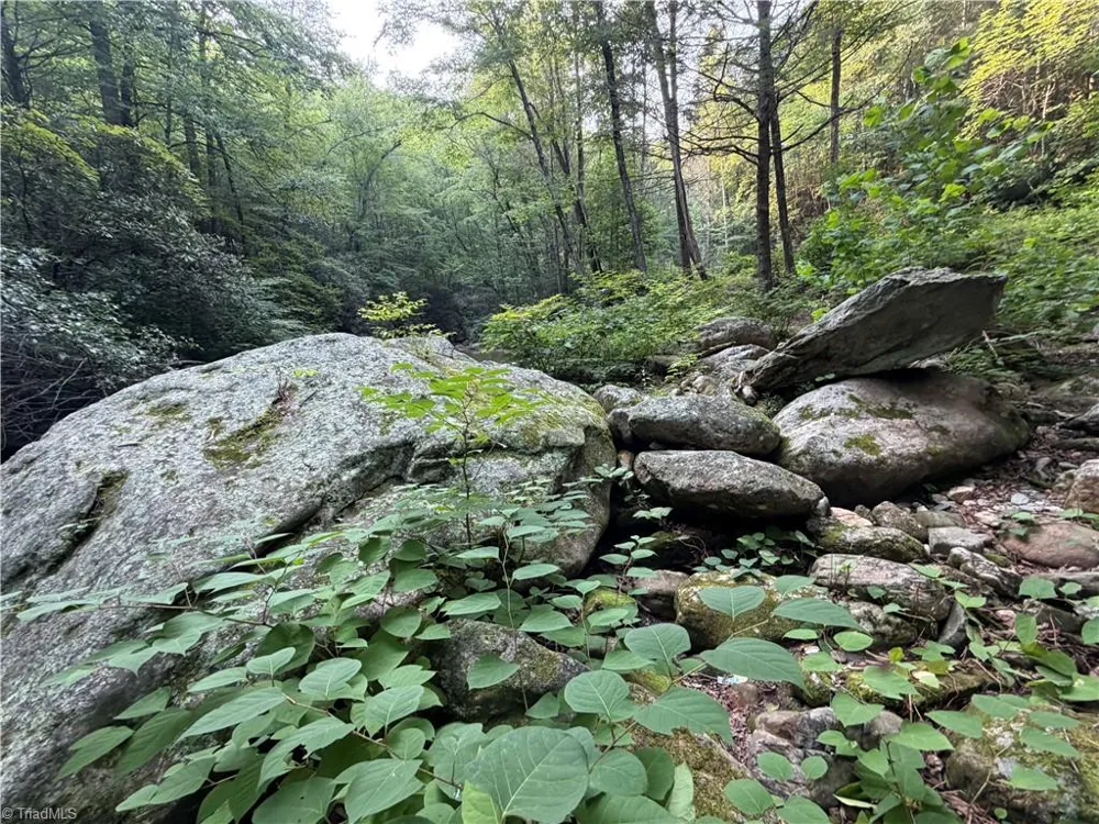 0000 Old NC Highway 16 Millers Creek, NC 28651
