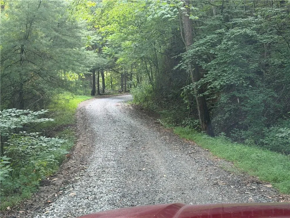 0000 Old NC Highway 16 Millers Creek, NC 28651