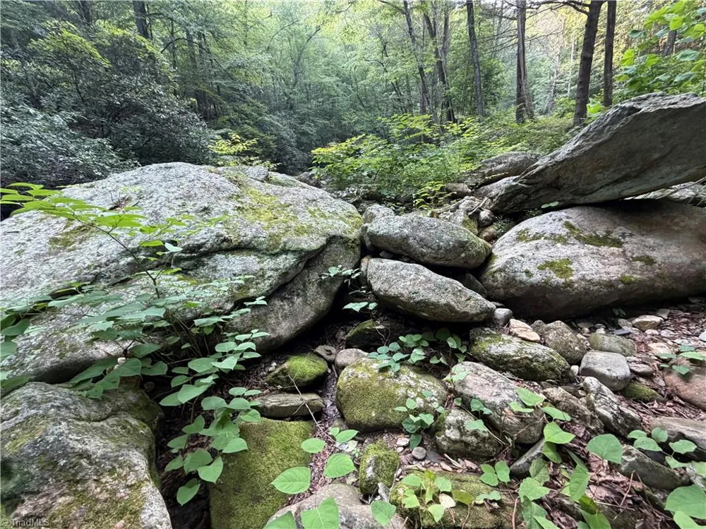 0000 Old NC Highway 16 Millers Creek, NC 28651
