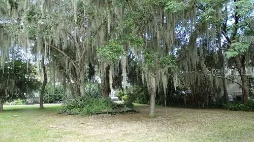 9444 LAKE HICKORY NUT DRIVE Winter Garden, FL 34787