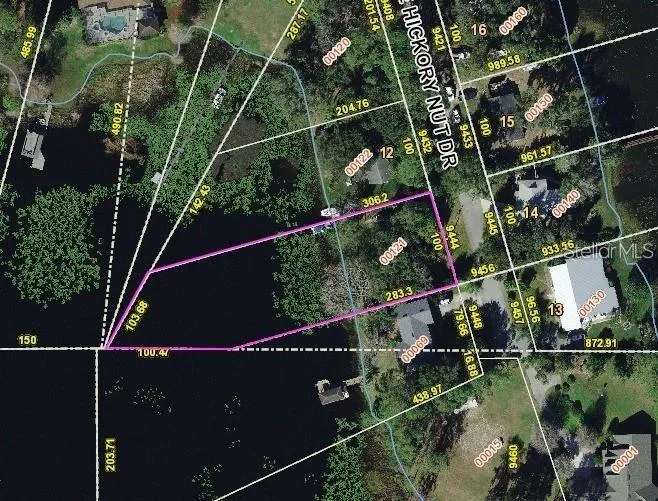 9444 LAKE HICKORY NUT DRIVE Winter Garden, FL 34787