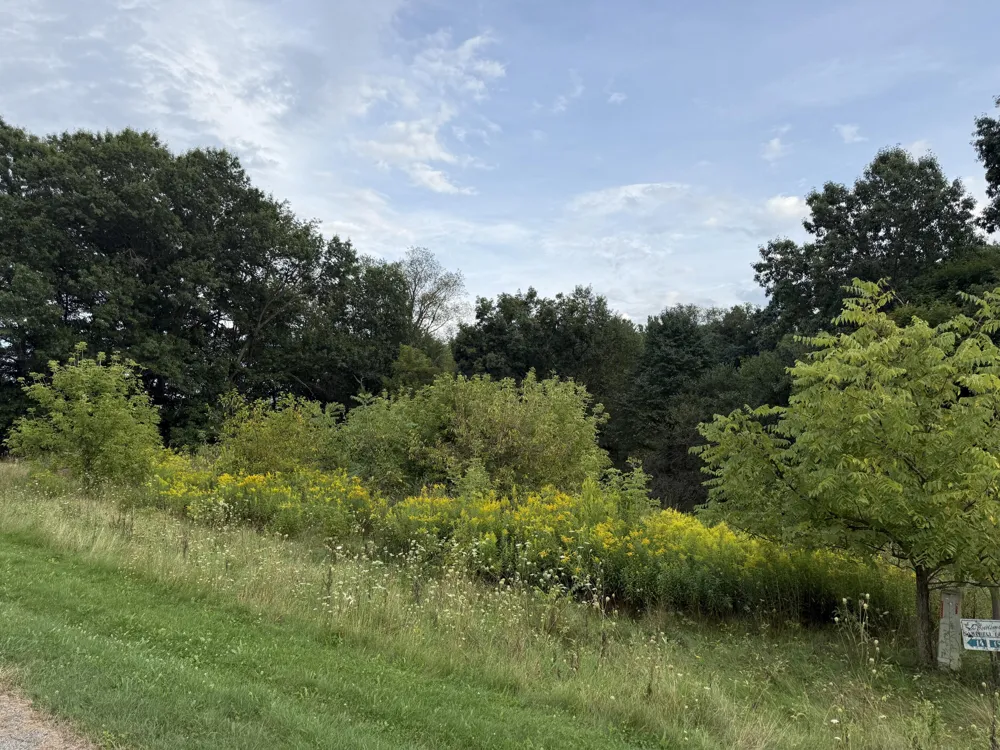 Campbell Lake Drive #Lot 14 Parma, MI 49269
