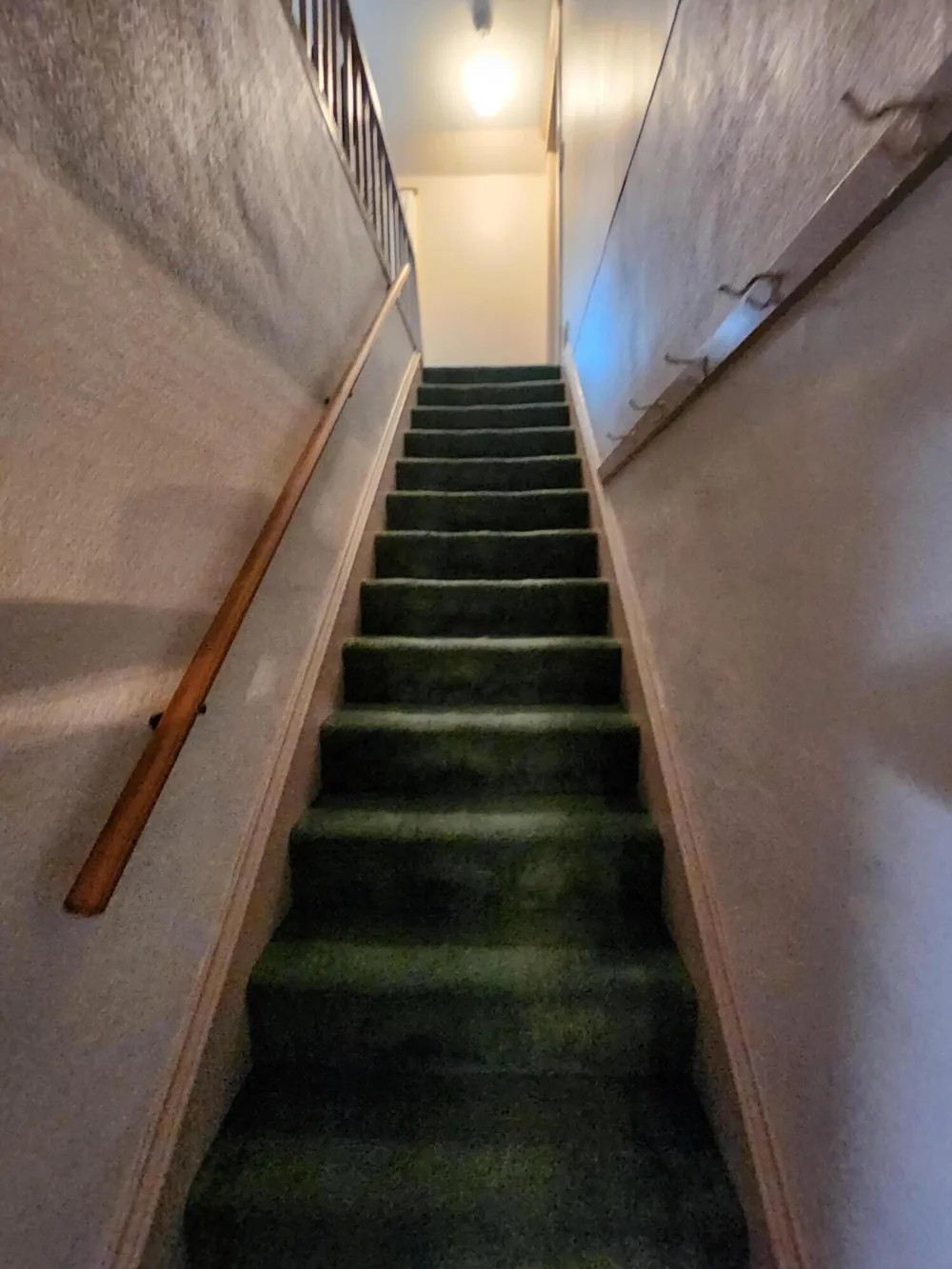 1841 135th Avenue Hopkins, MI 49328