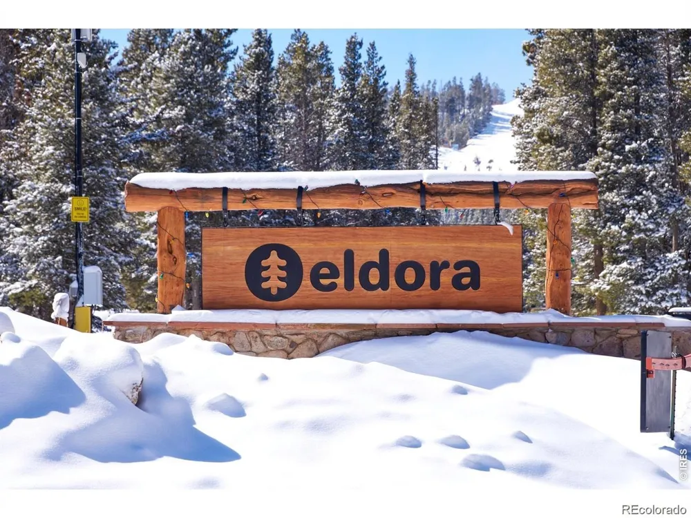 1455 Ridge Road Nederland, CO 80466