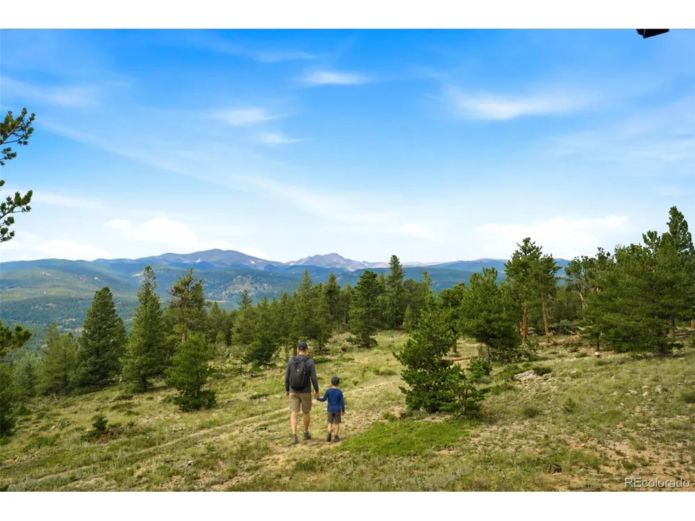 1455 Ridge Road Nederland, CO 80466