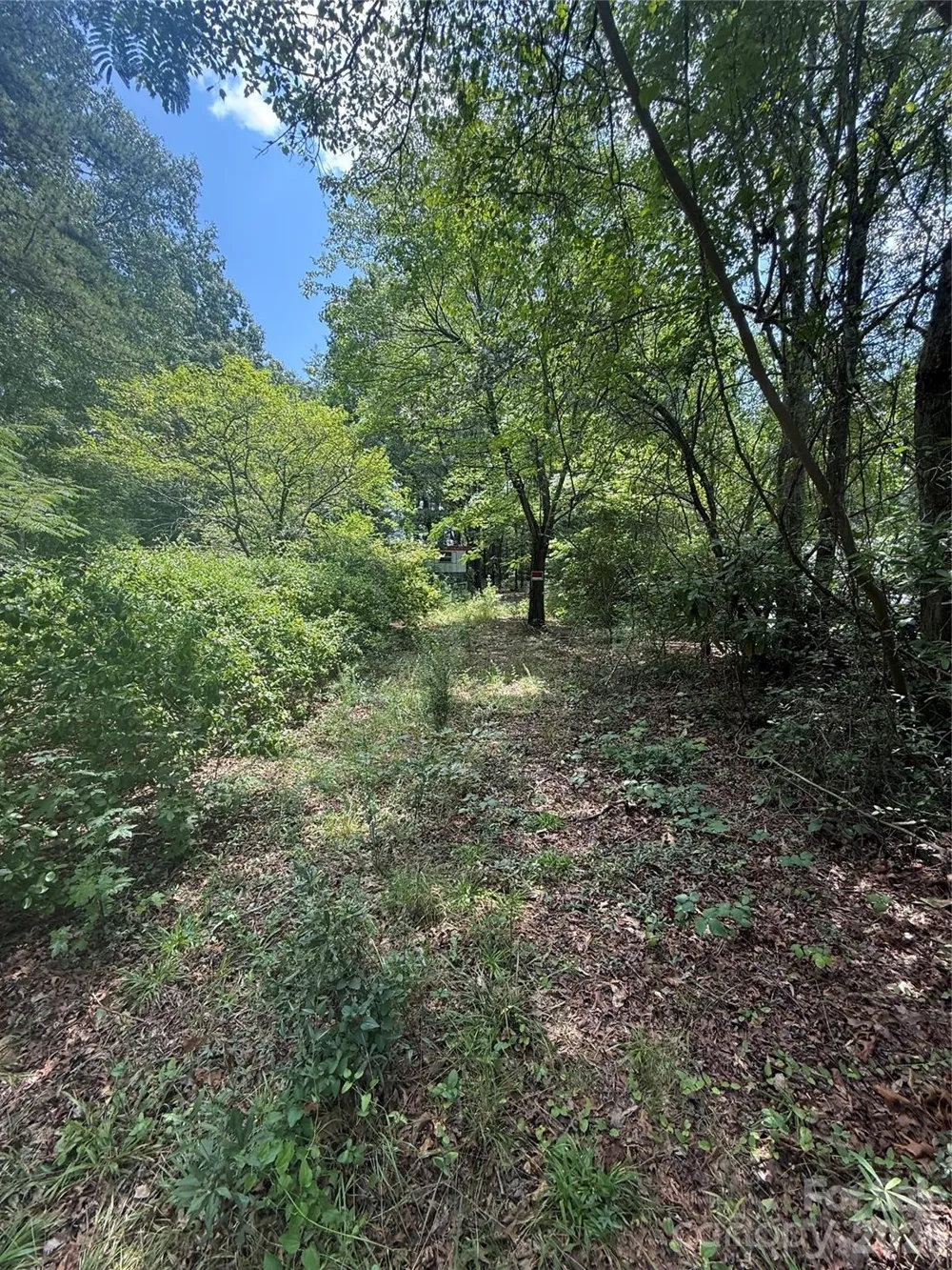 1710 Black Oak Lane Lincolnton, NC 28092