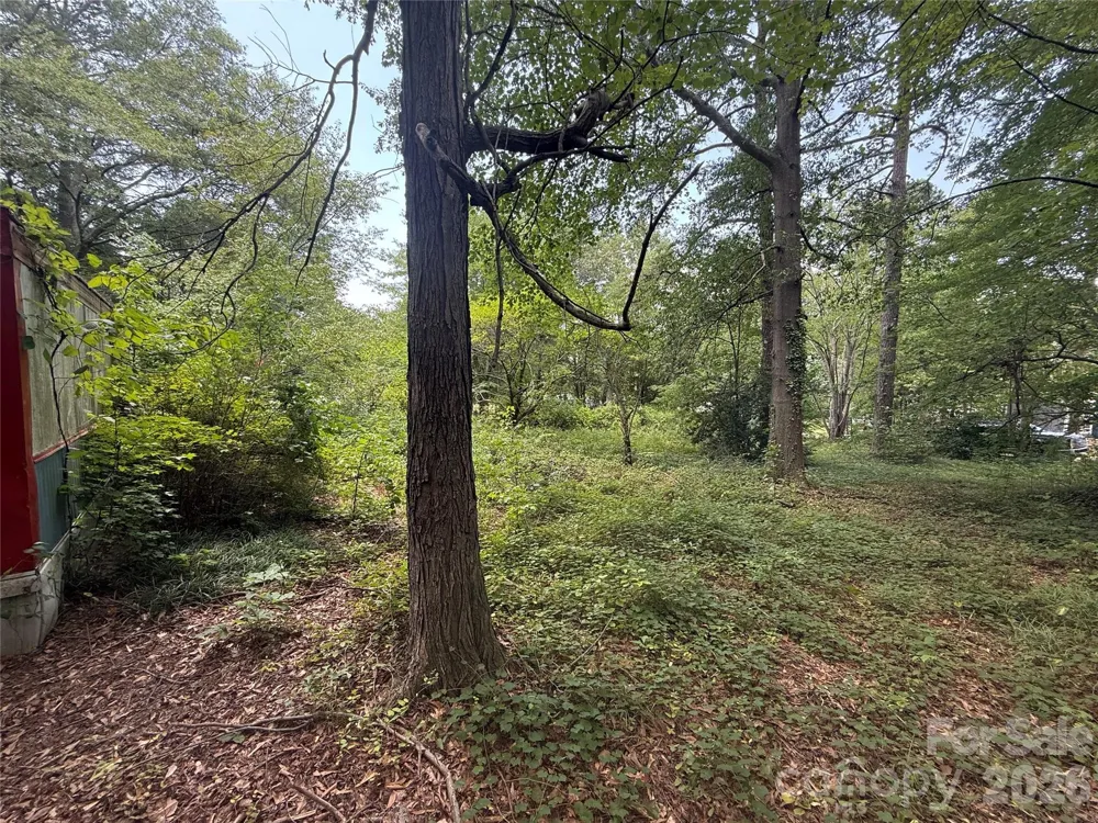 1710 Black Oak Lane Lincolnton, NC 28092