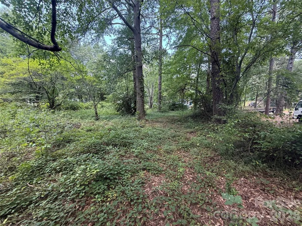 1710 Black Oak Lane Lincolnton, NC 28092