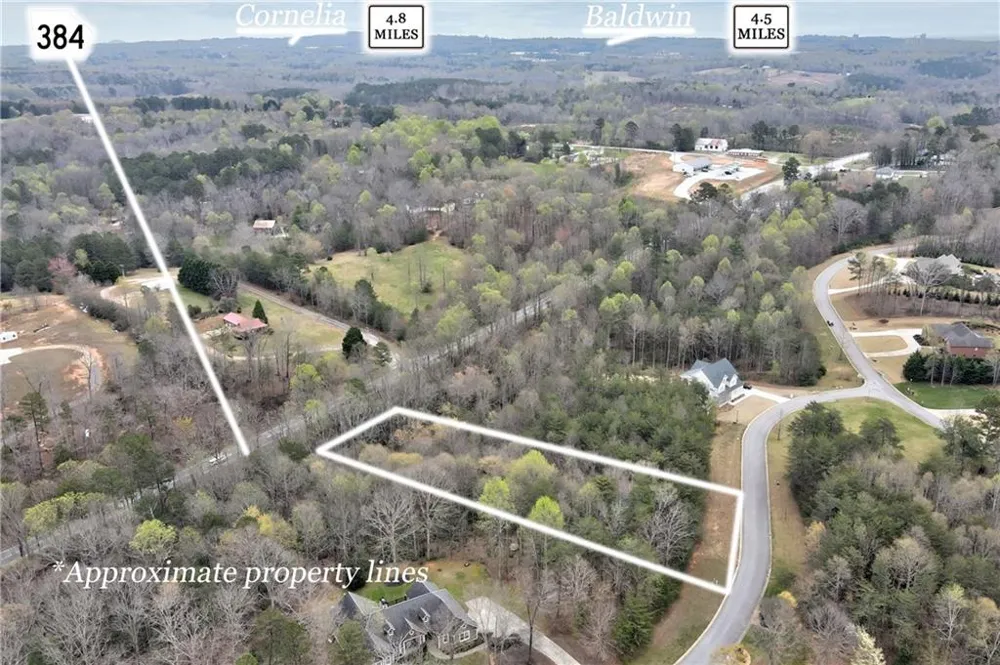450 Beachwood Drive Cornelia, GA 30531