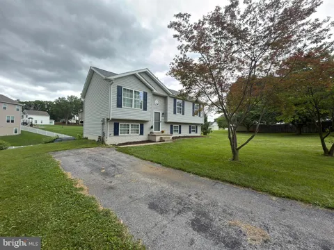 98 REX DRIVE