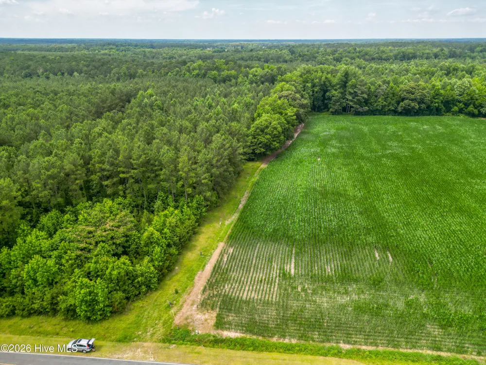 Tbd Farmers Union Road Clarkton, NC 28433