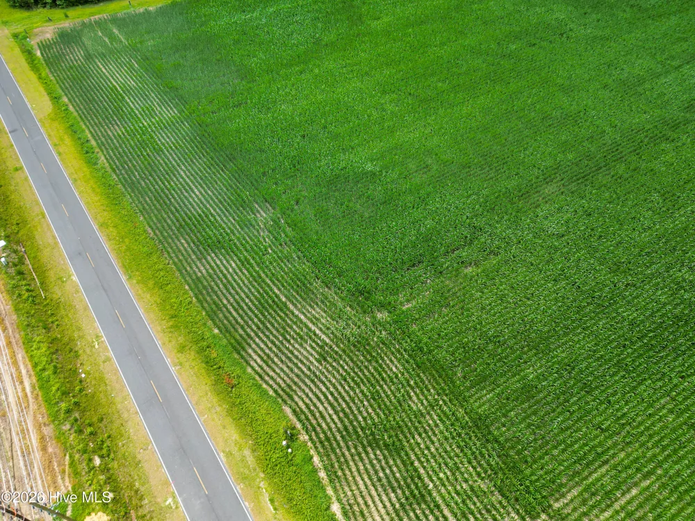 Tbd Farmers Union Road Clarkton, NC 28433