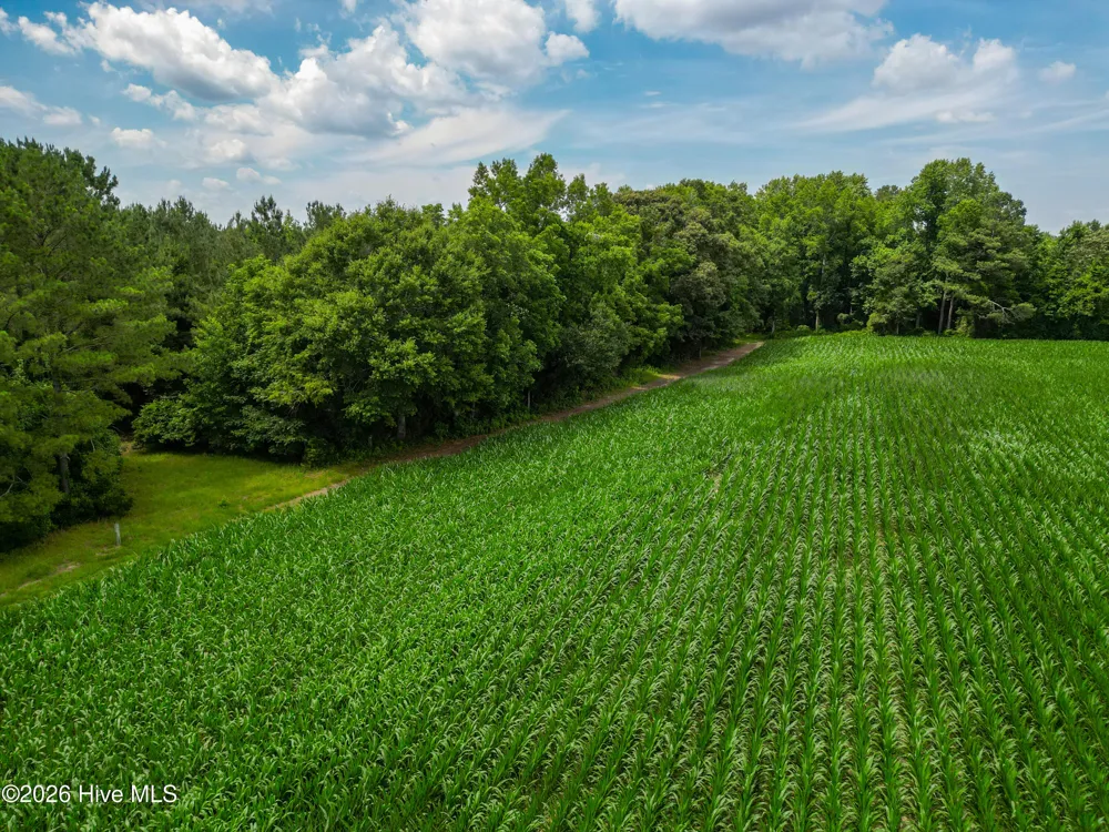 Tbd Farmers Union Road Clarkton, NC 28433