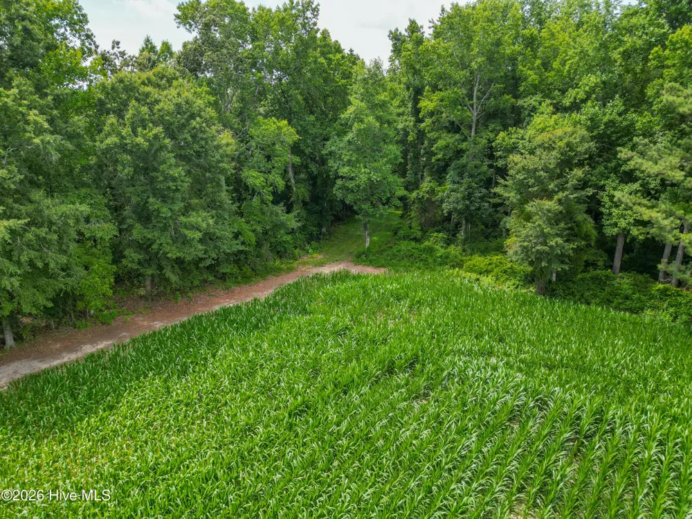 Tbd Farmers Union Road Clarkton, NC 28433