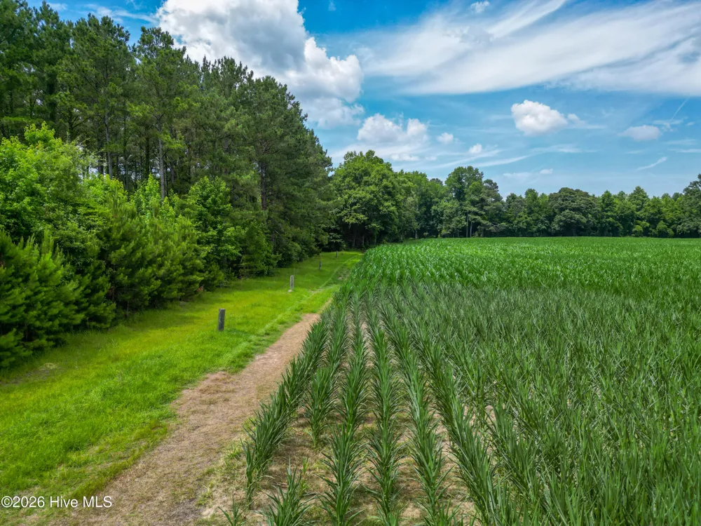 Tbd Farmers Union Road Clarkton, NC 28433