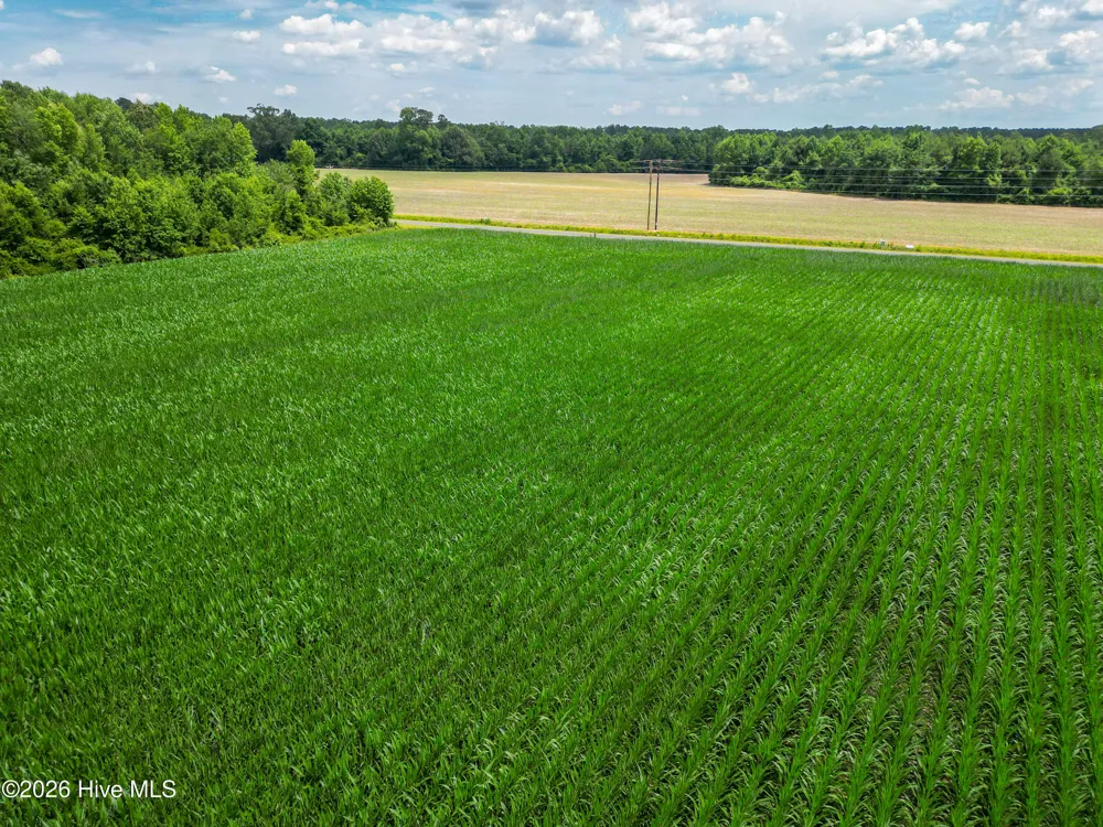 Tbd Farmers Union Road Clarkton, NC 28433