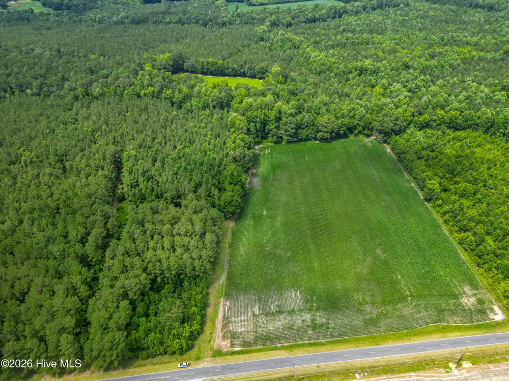 Tbd Farmers Union Road Clarkton, NC 28433