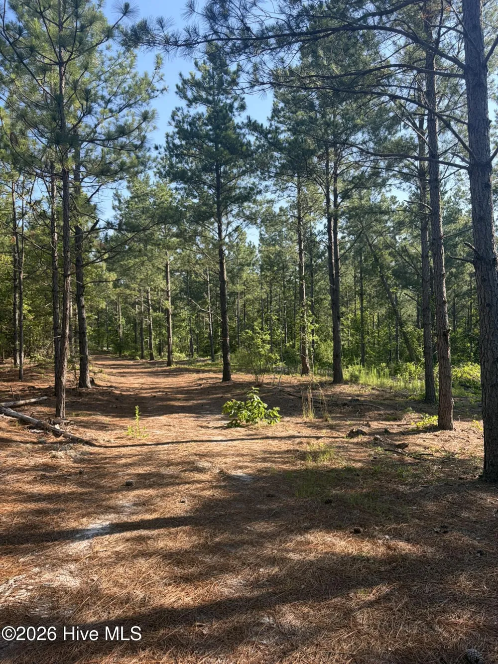 Tbd Jones Spring Church Road Ellerbe, NC 28338