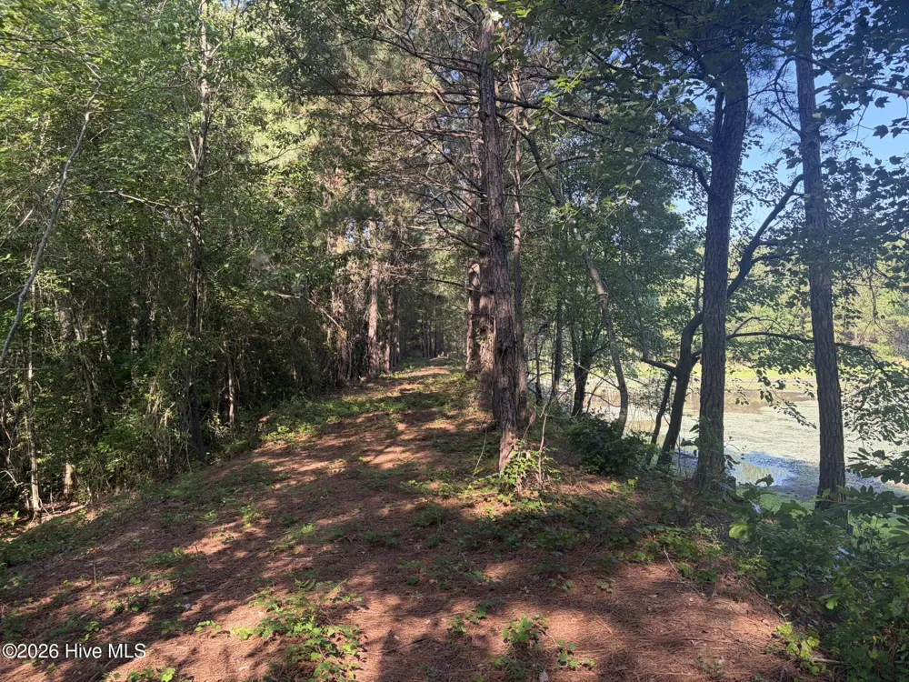 Tbd Jones Spring Church Road Ellerbe, NC 28338