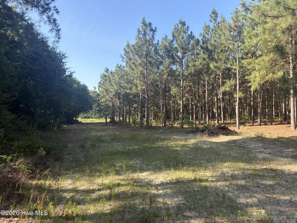 Tbd Jones Spring Church Road Ellerbe, NC 28338
